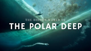 Giants of the Polar Deep