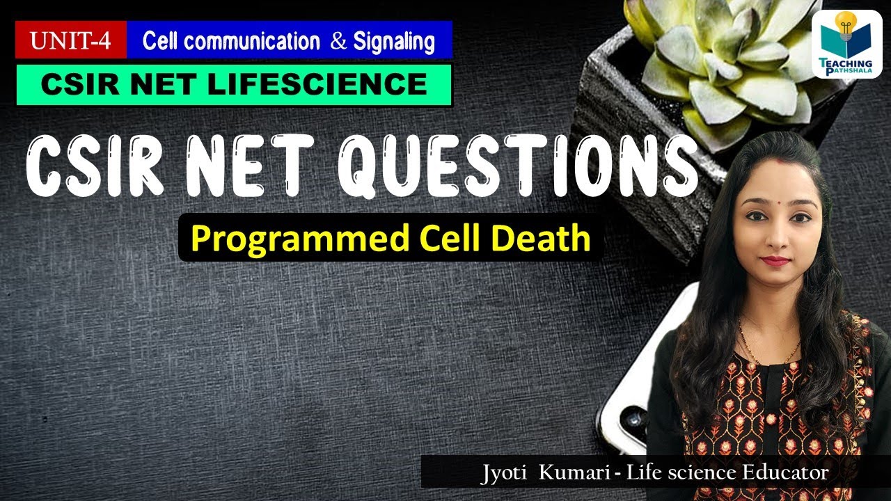 CSIR-NET SOLVED QUESTIONS ON APOPTOSIS || IMPORTANT CONCEPTS |CELL BIOLOGY