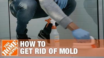 How to Get Rid of Mold | The Home Depot