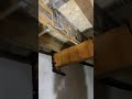 Mold Remediation - Ceiling Joists