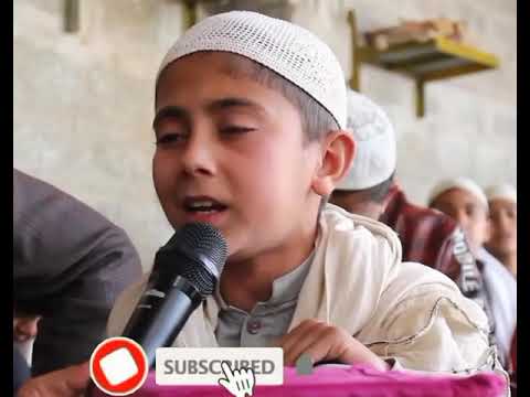 موری ستا قبر تہ ناست یم 