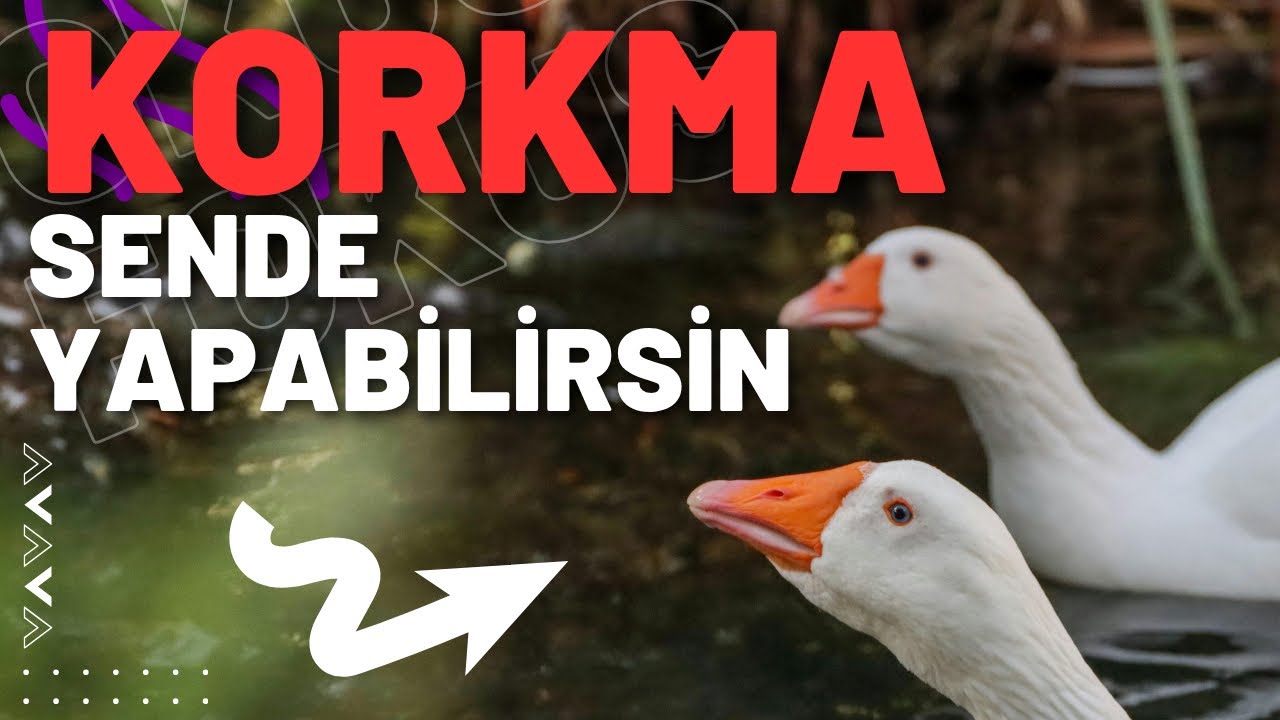 Kaz işini nasıl yaparım?