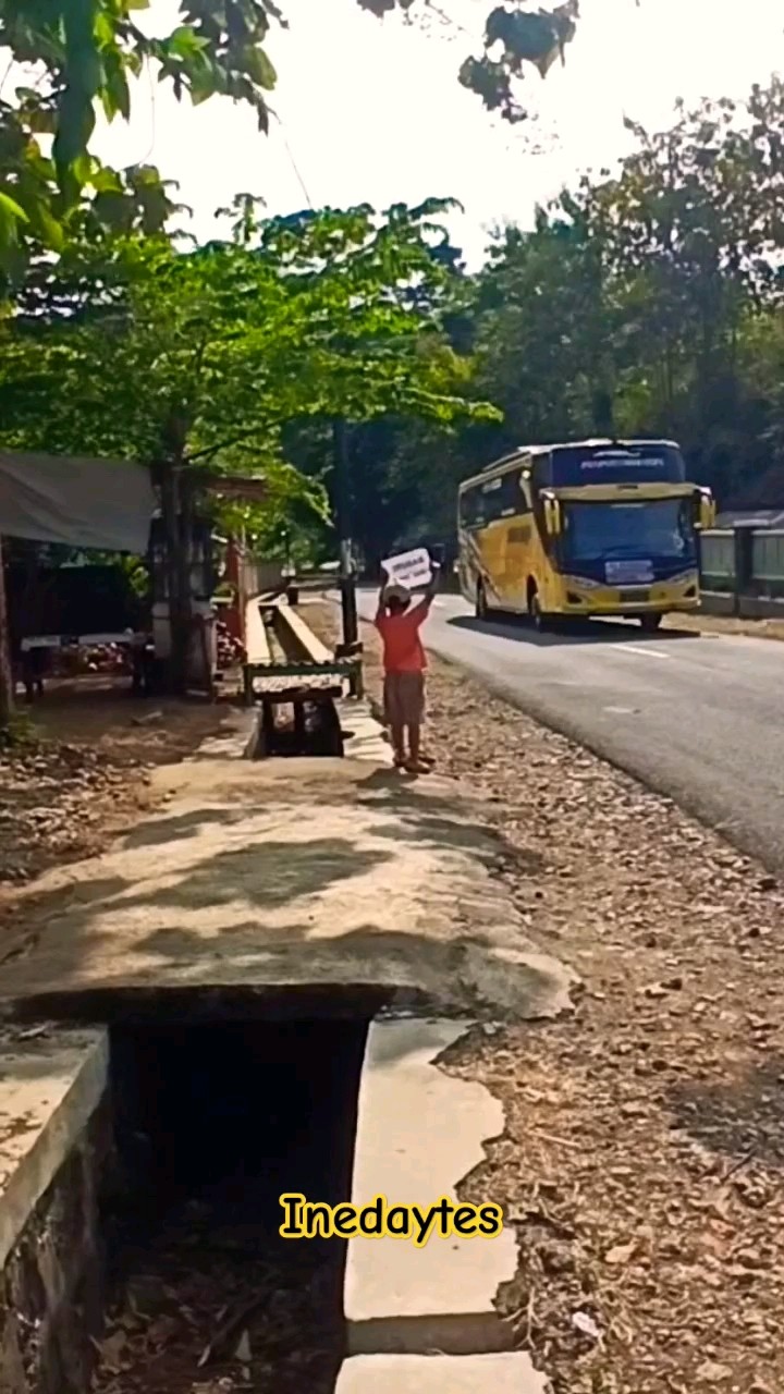 Buah Hijau: Mengarungi Indonesia dengan Sentuhan Kemewahan dan Kenyamanan