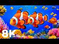 Peaceful Underwater Creatures in 8K HDR | Fish Paradise for Stress Relief &amp; Sleep