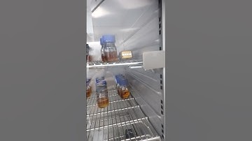 Thermal mapping process || for place the data logger in incubator 72 hours for temperature reading..