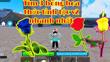 ROBLOX: Vị trí spam của ba bông hoa xanh, đỏ và vàng nâng tộc v2