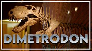 Sobre el DIMETRODON