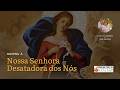 Novena à Nossa Senhora Desatadora dos Nós - 17h | 26/05/2026