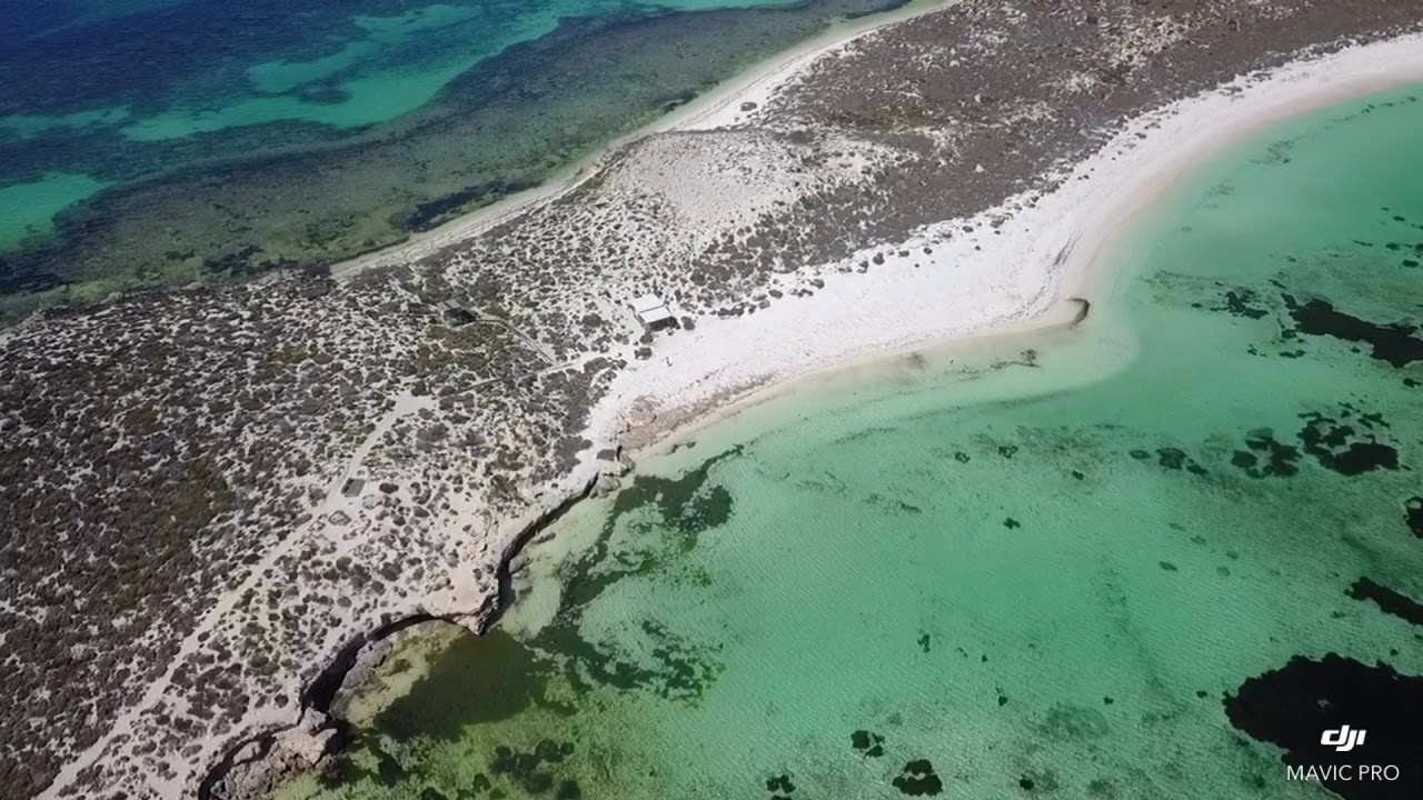 East wallabi island