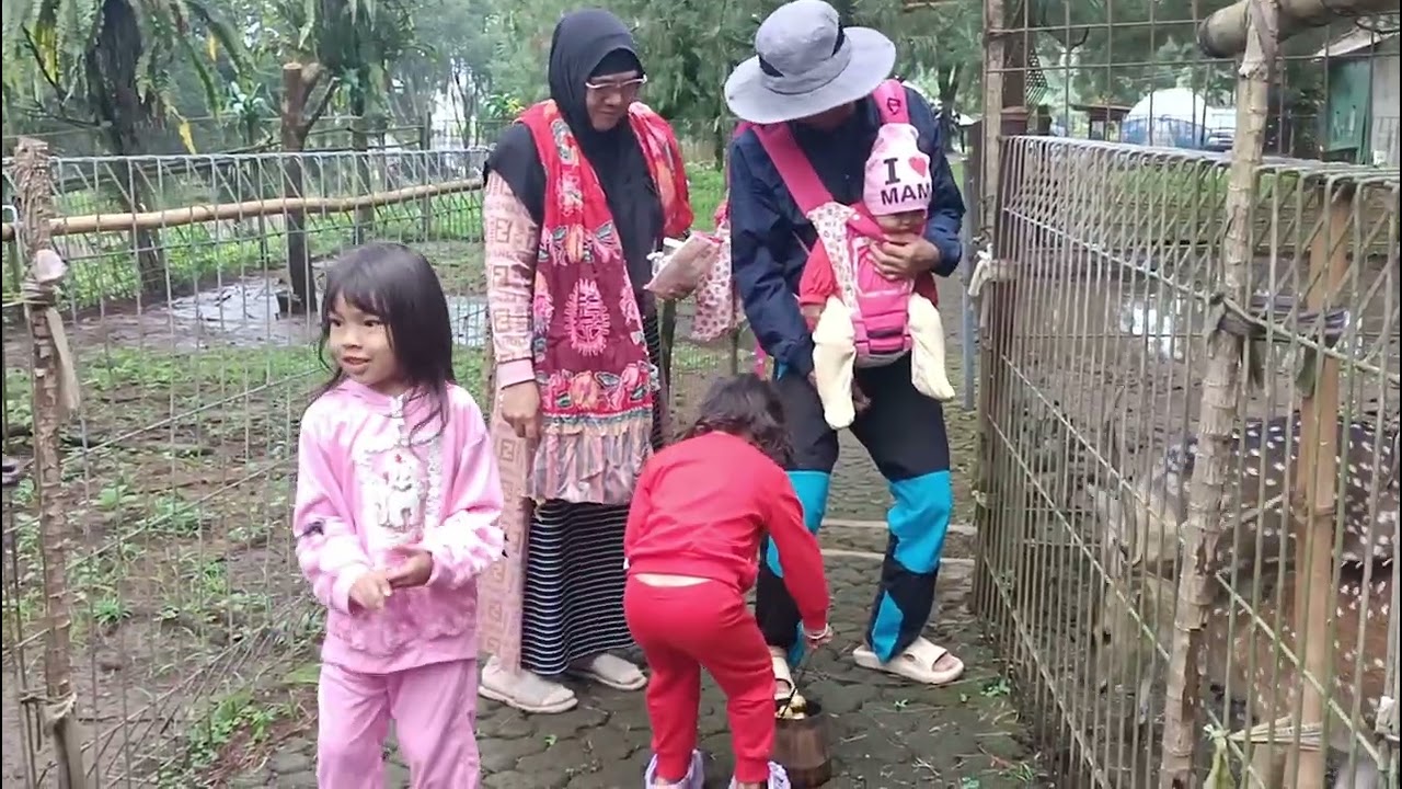 Campervan Sariater Hill view A Subang Jawa Barat