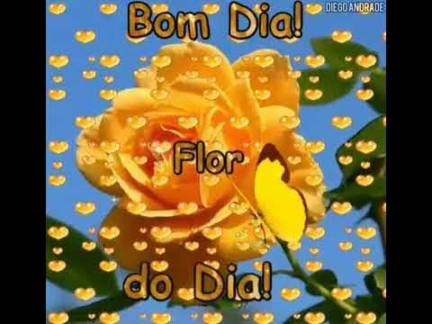 bom dia FUNK 38 - YouTube