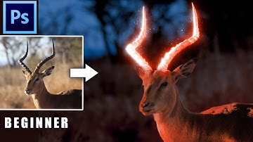 How To Make Glow Effect in Photoshop Tutorial Cs6 | Glowing Effect Antlers of Deer Photoshop