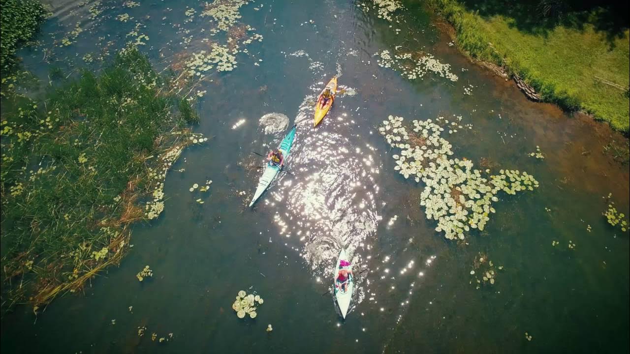 Black River to Wasdell Falls - Paddle Lake Country 