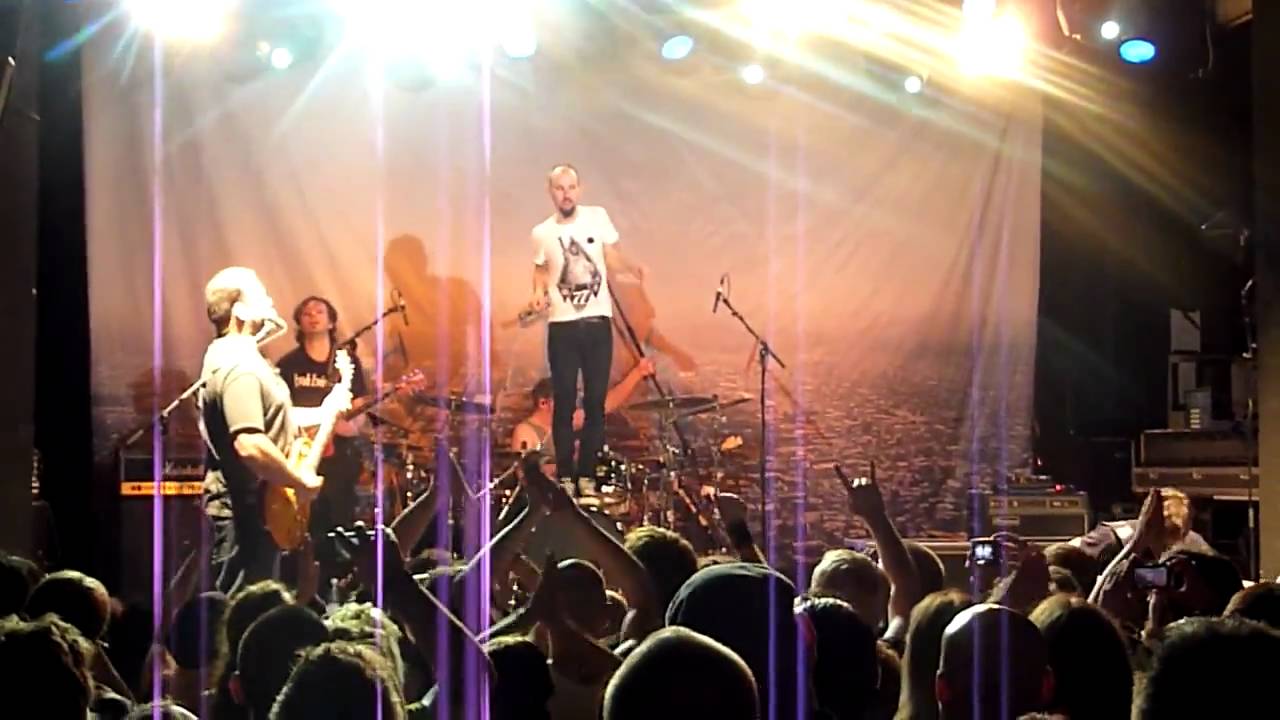 Guano apes lords of boards - successgaret