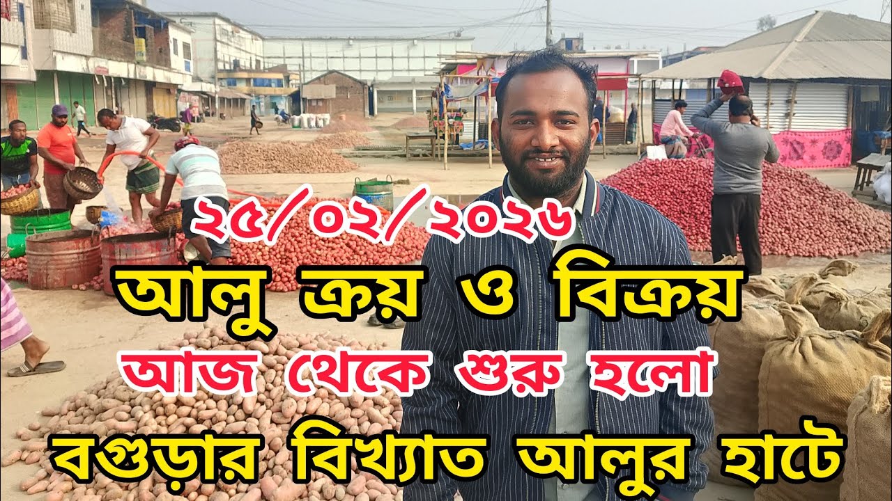 আজ ২৫/০২/২০২৬ইং বগুড়ার বিখ্যাত আলুর হাট কিচক বাজার | আলুর দাম বৃদ্ধি পেলনা কেনো #আলুর_বাজার #আলুহাট 