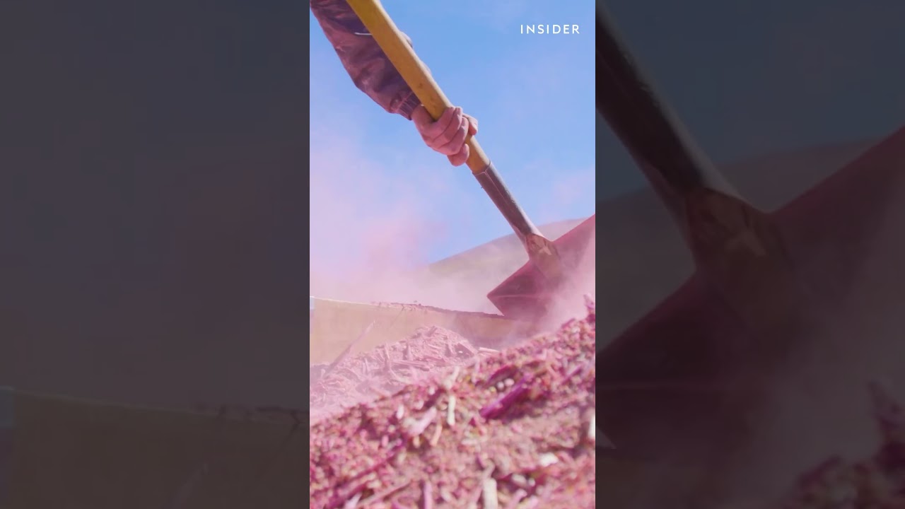 Bolivian farmers embrace tradition and innovation to harvest royal quinoa. #farmers #bolivia #quinoa