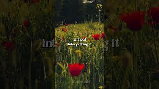 Feelings #gentlereminders #dailyzen #spiritualhealing