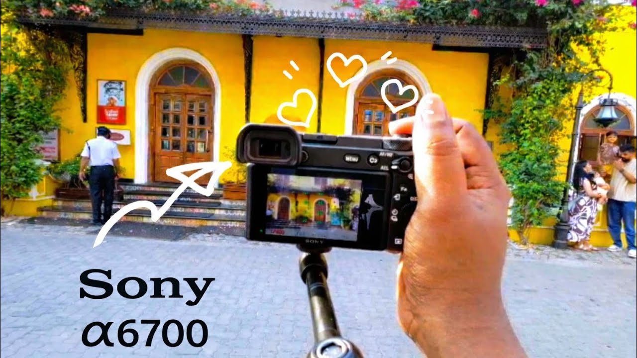 POV STREET PHOTOGRAPHY #sonya6700 #streetphotography #wildlifephotography 