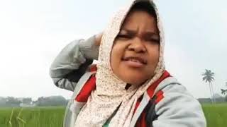 Download lagu Wikwikwik 😂😂