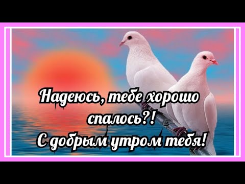 'С добрым утром!' Утренний позитивчик!