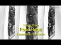 Young Thug Road Rage Legendado Tradução mp3