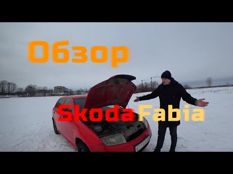 Обзор Skoda Fabia. Первый автомобиль.