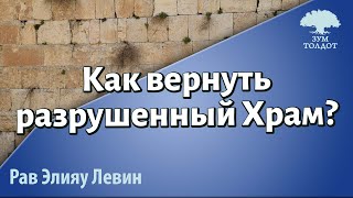 картинка: Как вернуть разрушенный Храм? Рав Элияу Левин