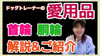 犬の首輪と胴輪　ドッグトレーナー愛用品のご紹介！それぞれについて解説します