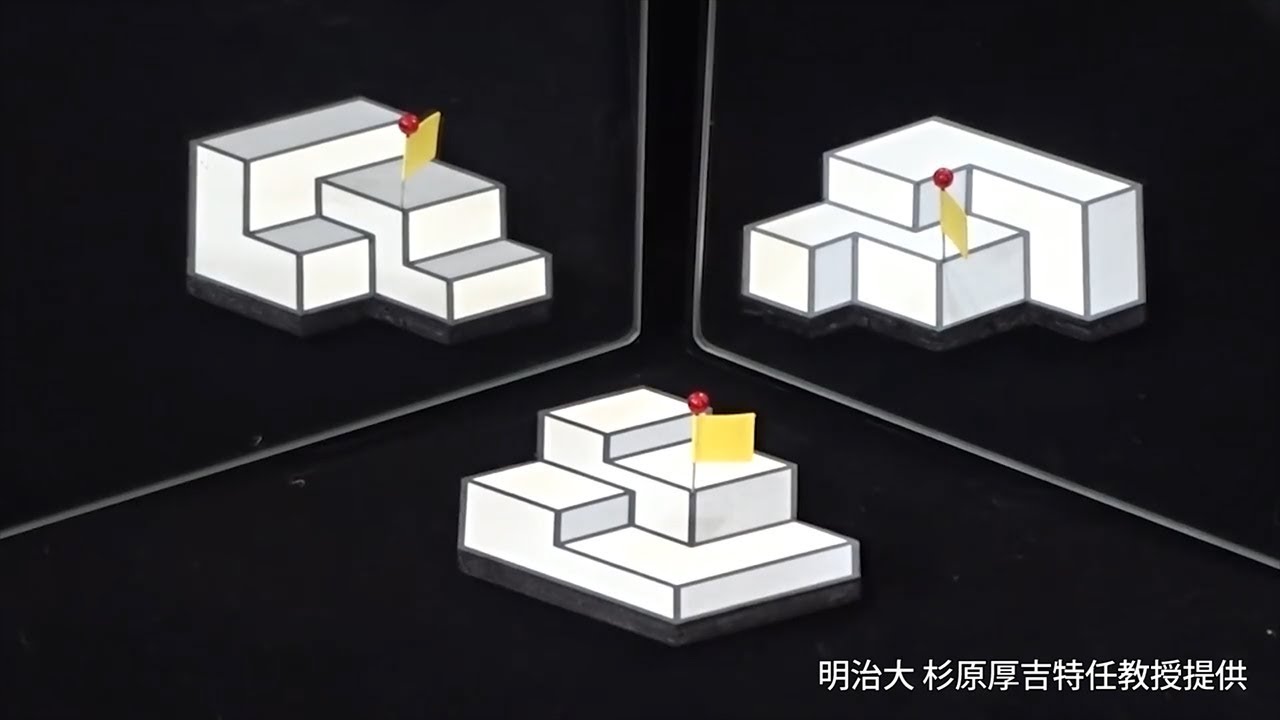 三種類の立体に見える錯視アート 明大教授作品が錯視アート頂点に Youtube