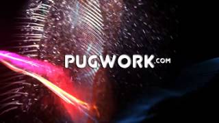 PUGWORK