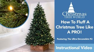 How To Fluff A Christmas Tree Like A PRO! by Christmas Tree World