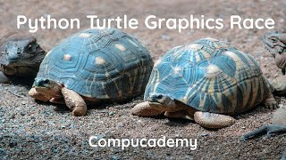 Python Turtle Graphics Turtle Race Program