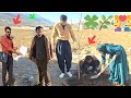 "The exciting transformation of the house with Tayyiba, Farzad and Farhad's tree planting 🌱🔥"