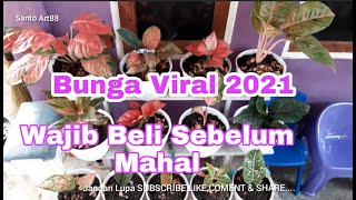 Bunga Tren / Viral 2021 (Prediksi)