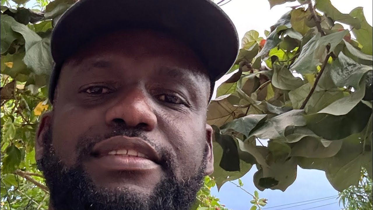 BLOG BOSS  DAMIAN is with work men live mixing cement