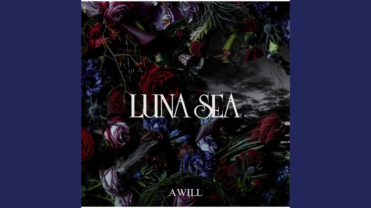 Guarda Absorb su YouTube Guarda Absorb su YouTube