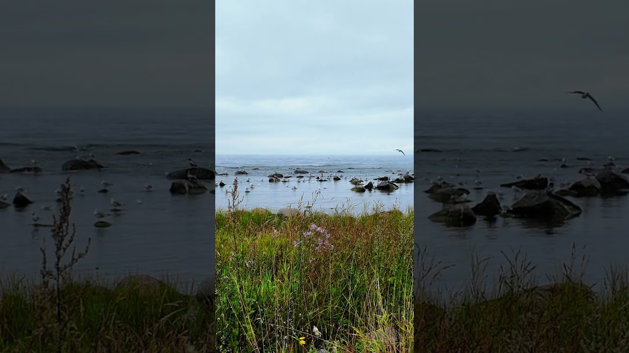 Gotland - Summer is officially over