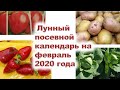 Лунный посевной календарь на февраль 2020 года. Астропрогноз для дачников и огородников.