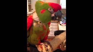 IMG 0869