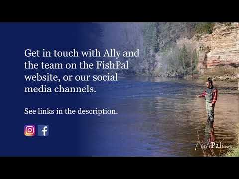 FishPal UK 