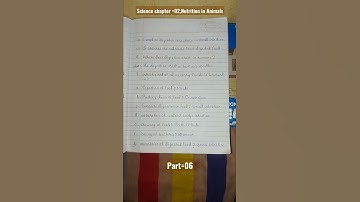 #cbse // class =07// Science// chapter=02 , part=06## Nutrition in Animals/// 😼😼😻😻😸😺