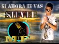 Silver - si ahora te vas