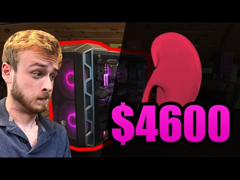 Top 10 Organs To Sell To Buy A Gaming PC