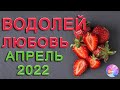 ВОДОЛЕЙ ФЛИРТ И КОКЕТСТВО ЛЮБОВЬ АПРЕЛЬ 2022