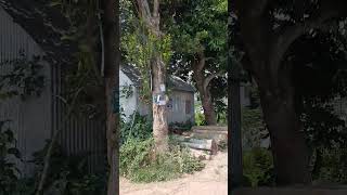 গপলপর গরম, সটরয, মনকগঞজ