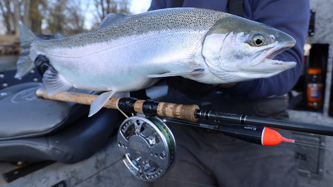 How to Centerpin for Steelhead // In-Depth Tutorial from a Salmon/Steelhead  Fishing Guide 