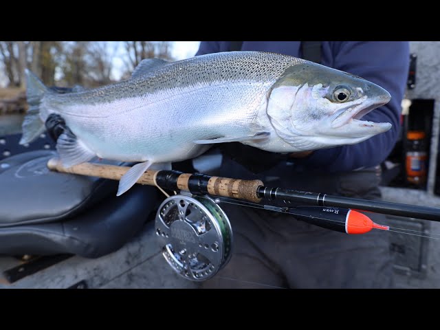 How to Centerpin for Steelhead // In-Depth Tutorial from a Salmon