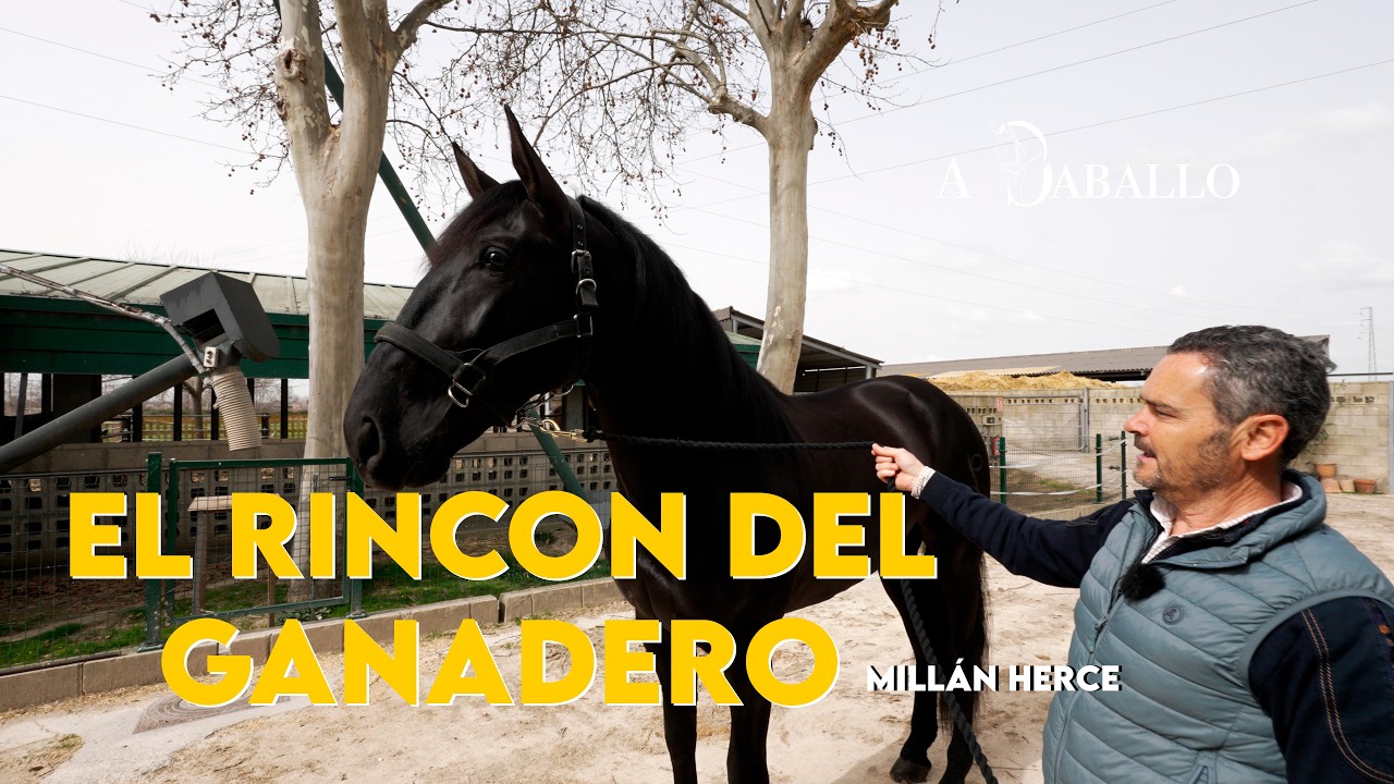 A Caballo con Millán Herce (Recogida de Patrón)