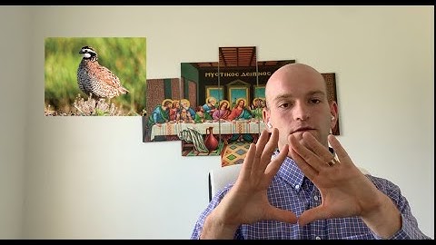 Summers v Tice | Concurrent causes