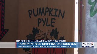Floydada CCT at 6: Pumpkin Capital of the USA